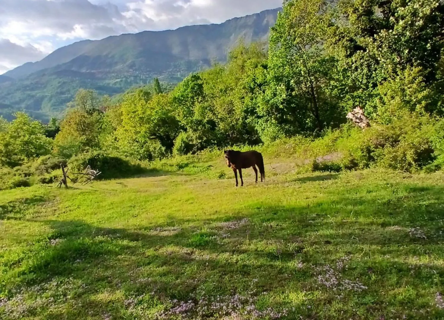 Hotel Bujtina Tusha à Priska e Madhe Albanie